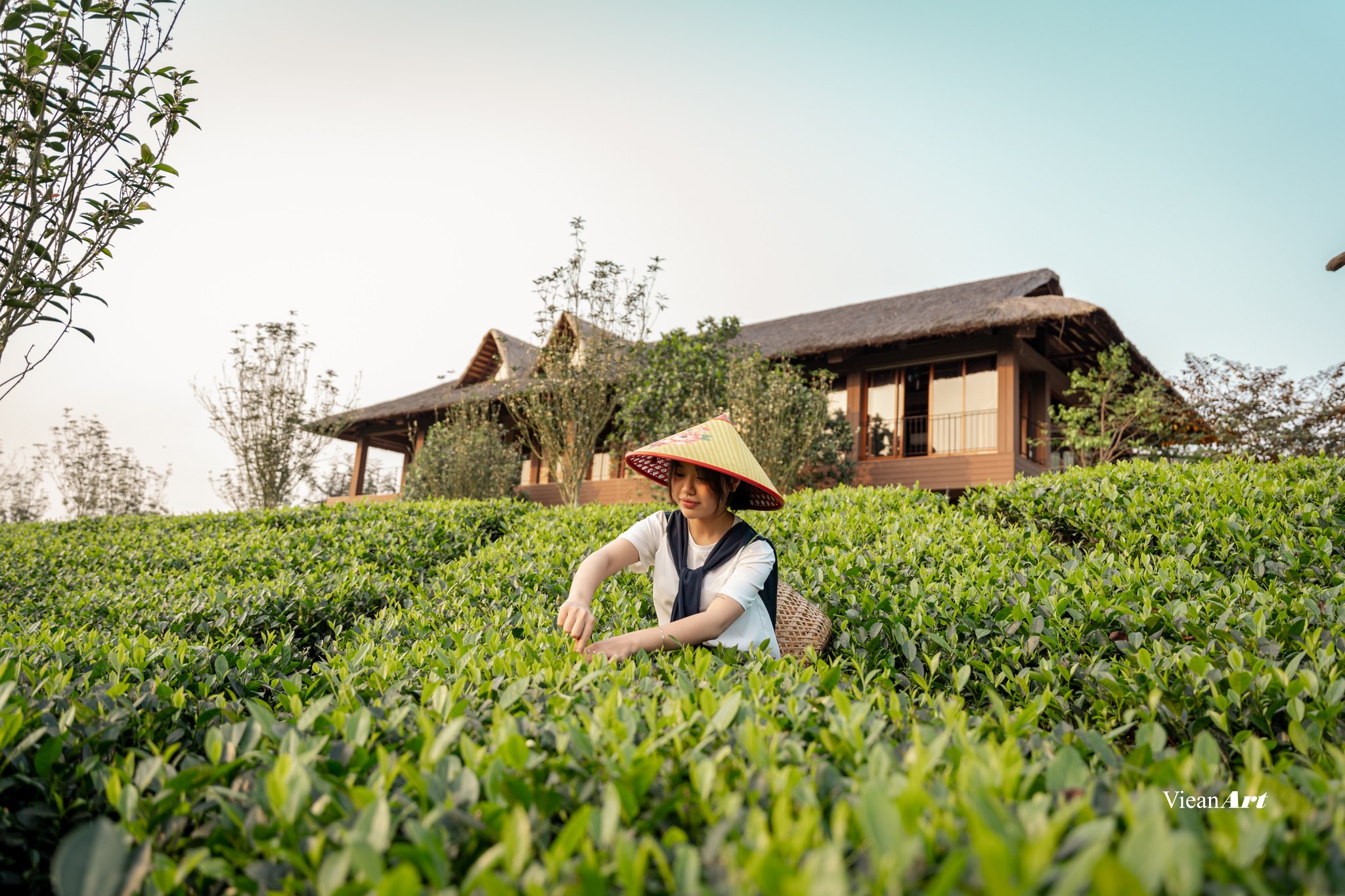 Trài Nghiệm Tuyệt Vời