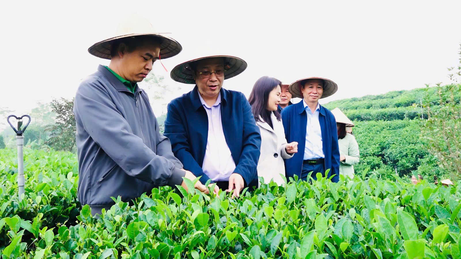 HTX xin chân thành cảm ơn thứ trưởng bộ nông nghiệp cùng phái đoàn