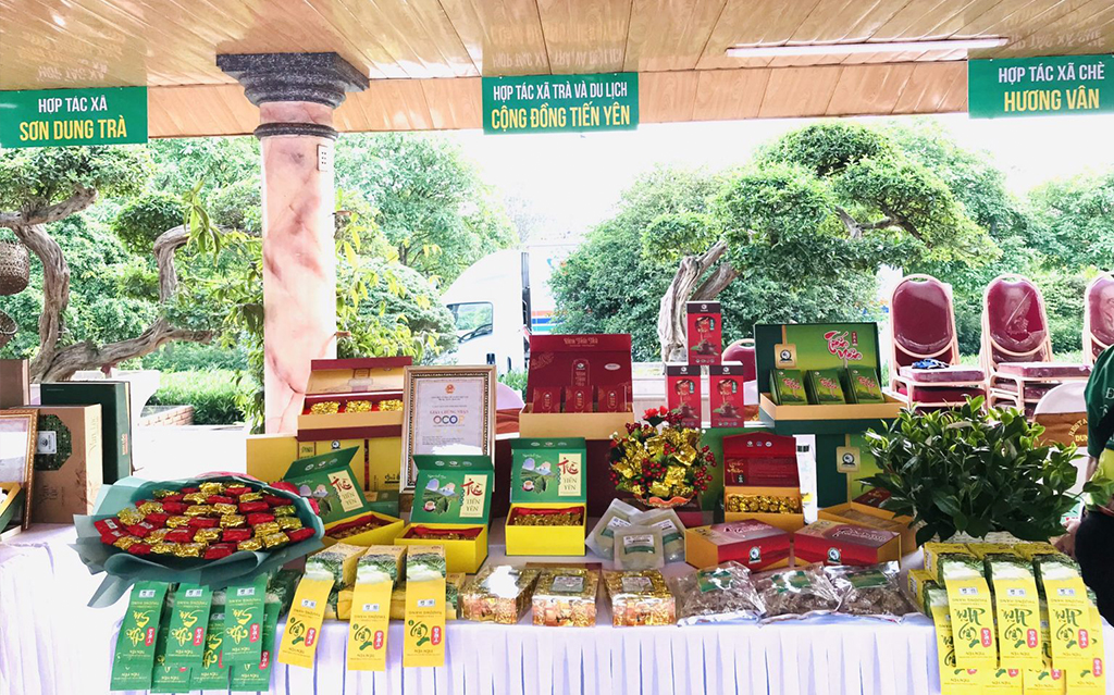 HTX trà và du lịch cộng đồng Tiến Yên tham gia chương trình khai mạc mùa du lịch Thái Nguyên