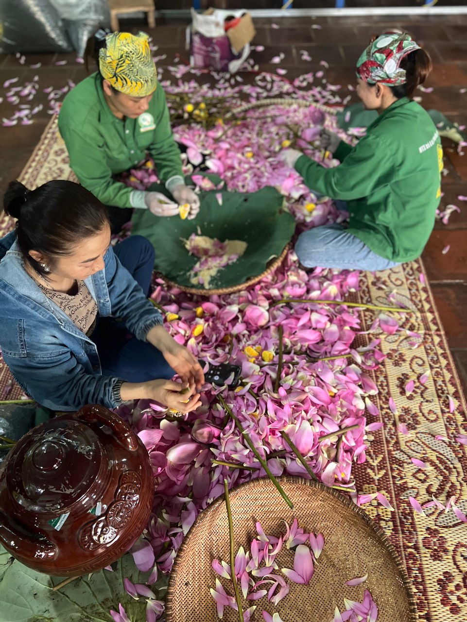 Trà Hoa Sen